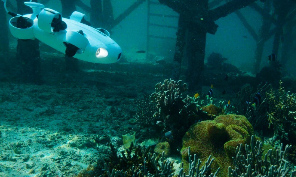 FIFISH V-EVO Live Working Picture